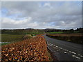 The road to the former Thornhill Station