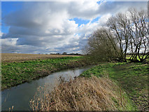 TL4152 : By the Cam near Haslingfield  by John Sutton