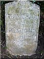 Old Milestone by the B3254, near Trenhorne