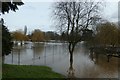 Flooding in Rowntree Park