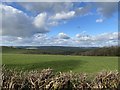 Carmarthenshire countryside