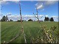 Carmarthen Golf Course