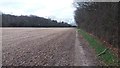 Path nearing Oak Lane