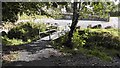 Footbridge to Car Park in Annvale Glen