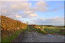 ST9218 : Entrance to Benches Lane off the B3081 by Tim Heaton