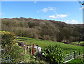 Grazing and woodland, Howden Clough