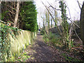 Footpath by railway, Dormans Park