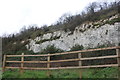 Grays chalk quarry nature reserve