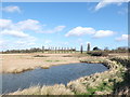 Looking across Levington Lagoon Nature Reserve