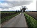 Sallow Lane heading towards the A11 and South Farm