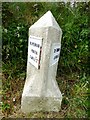 Old Milestone by the B3284, South of Park Hoskyn