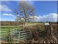 Stile and footpath