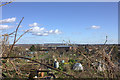 View over the allotments