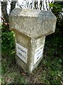 SW9148 : Old Milestone just south of the modern A390 by Rosy Hanns