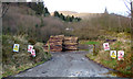 Log piles at Gairletter