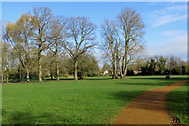 TL4856 : A March morning in Cherry Hinton Hall Park by John Sutton