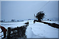 Snow drifts in Hobbs Lane, Barrow Gurney