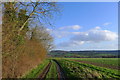 Track along the edge of Bottom Copse