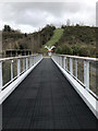 Footbridge at the Eden Project