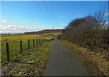 NT1189 : Colin Smith Walkway/Cycleway by Bill Kasman