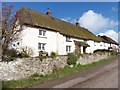 Thatched cottage, Black Dog