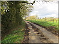 Harlingwood Road heading in the direction of Old Buckenham Stud