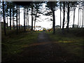 Approaching Burghead Holiday Park