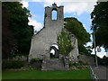 S4943 : Saint Kieran's Church, Glebe, Kells by Eirian Evans