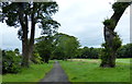 Fife Coastal Path at the Aberdour Golf Club