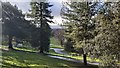 Cwmdonkin Park with The Mumbles seen between the trees in the distance