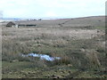 NY9818 : Open access moorland above High Corn Park by Christine Johnstone