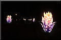 View of bush lanterns either side of the road leading into Chiswick House and Gardens from the Dukes Avenue entrance