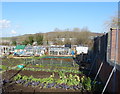 Allotments off Dewsbury Road (B6114), Elland