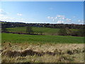 Farmland, Toothill Bank