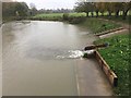 SP2965 : River level has fallen overnight but there has been rain, Warwick by Robin Stott
