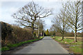 TL8966 : Road towards Great Barton by Robin Webster