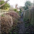 NT2373 : Path off Belford Place by Richard Webb