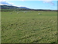 View inland from the Wales Coast Path 