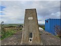ND4588 : Triangulation pillar, Ward Hill, South Ronaldsay, Orkney by Claire Pegrum