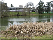 NS8096 : The University of Stirling campus by M J Richardson