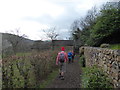 Path at the end of Whitwell Lane, Pontesbury