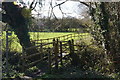 Footpath near Bury Green