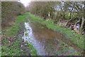 TL0531 : Big puddle on the byway by Philip Jeffrey