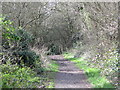 The course of the former Mill Hill East to Edgware railway line between Sanders Lane and Devonshire Road