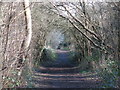 The course of the former Mill Hill East to Edgware railway line between Sanders Lane and Devonshire Road (3)