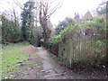 Path on Tunbridge Wells Common