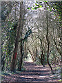 The course of the former Mill Hill East to Edgware railway line west of Devonshire Road (3)