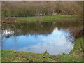 Pond by Aylesbury Road, Mobwell (1)