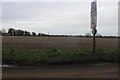 Field by School Road, Thompson