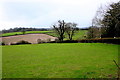 Field at Bakers Mead